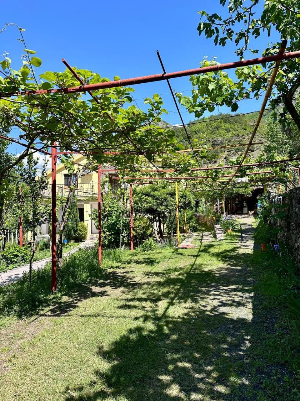 Lakeview Escape Maison d'hôtes