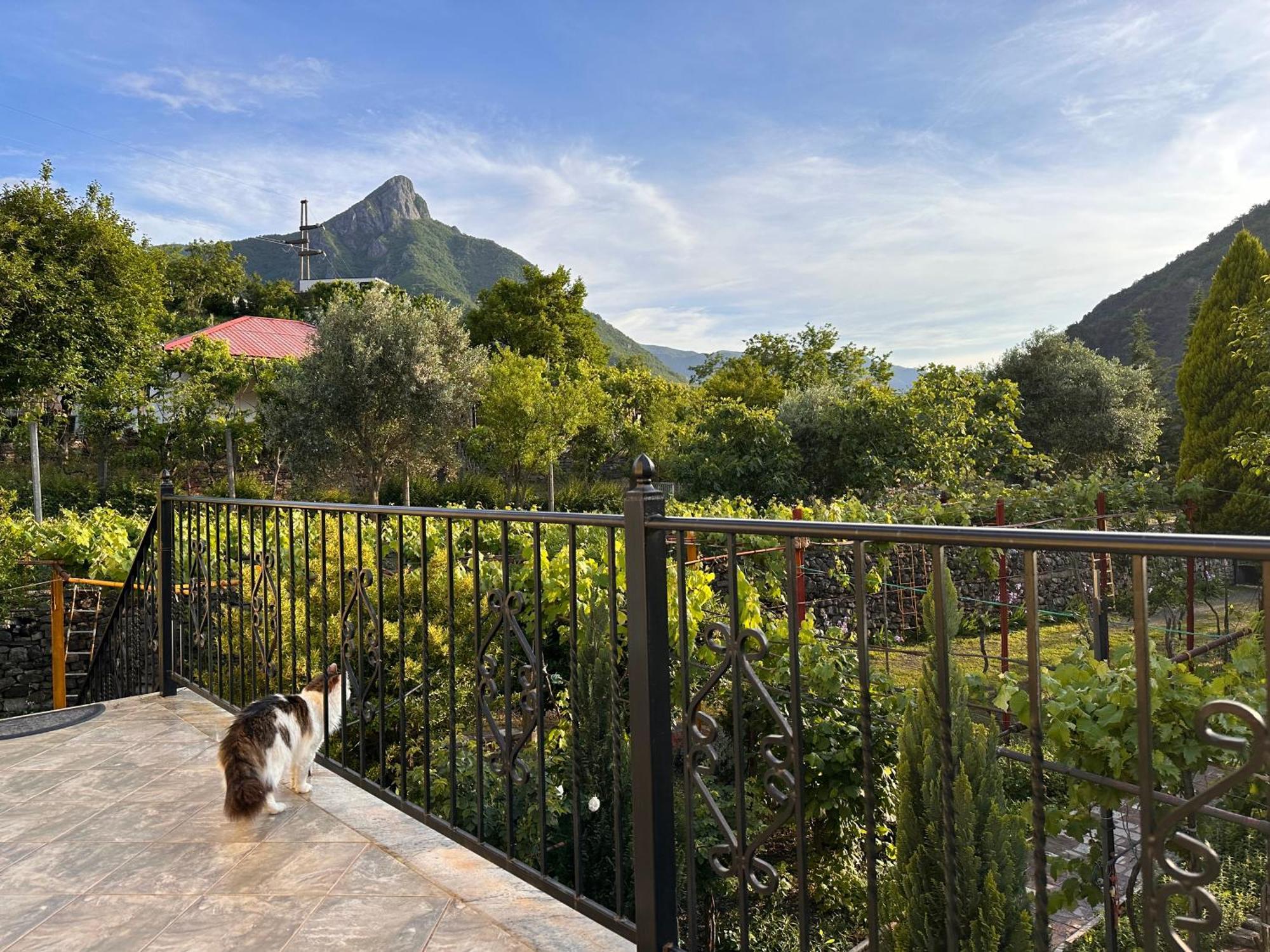 Maison d'hôtes Lakeview Escape Koman