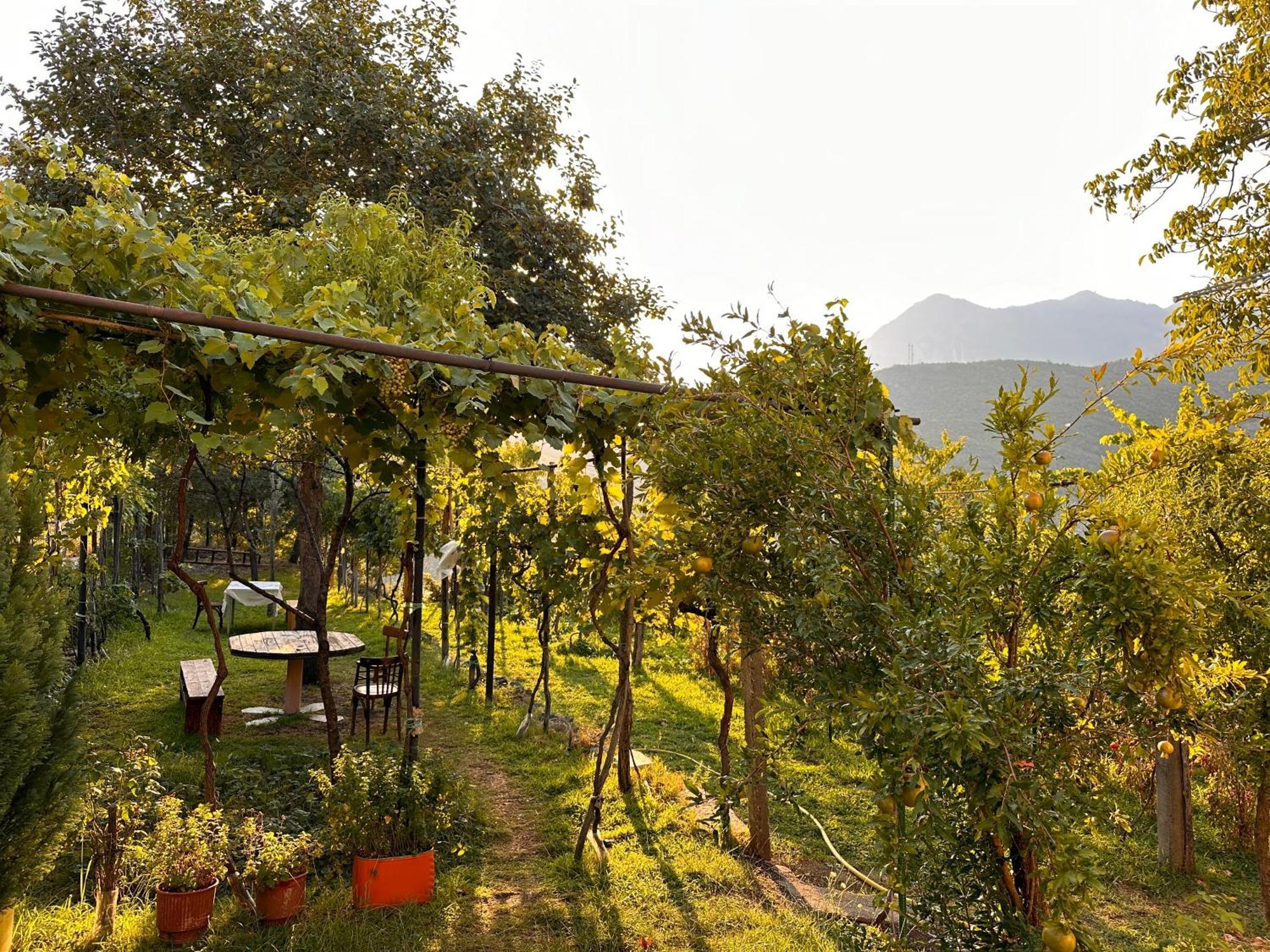 Maison d'hôtes Lakeview Escape Koman