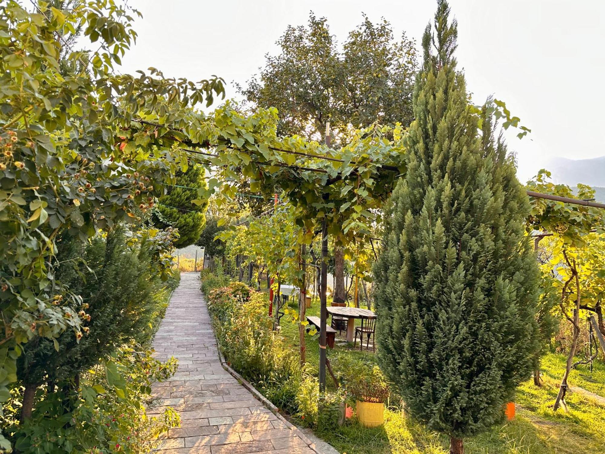 Lakeview Escape *